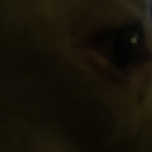 Profile Picture of Robert Mackay (@robert_mackay) on Poshmark