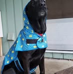 Porter Passavant - Facebook Profile Picture of Porter Passavant (@evan.pass.108) on Facebook