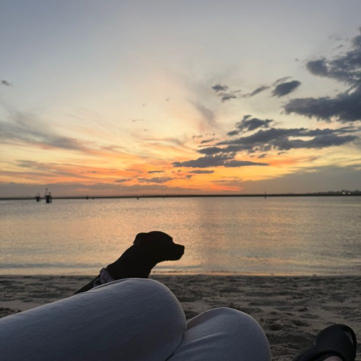 Profile Picture of 🦋 (@siennaazevedo) on Tiktok