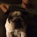 Profile Picture of Chad Wilks (@chadcwilks) on Pinterest