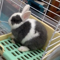 Profile Picture of Athena Ho (@athena-ho-14) on Quora