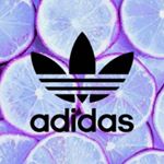 David Loncar - Instagram Profile Picture of David Loncar (@davidloncarloncar) on Instagram