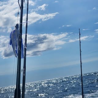 Profile Picture of Aaron Dise (@aarondise) on Instagram