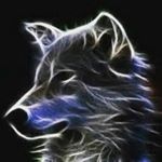 joey vanbuskirk - Instagram Profile Picture of joey vanbuskirk (@joeyscott09) on Instagram