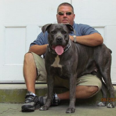 Profile Picture of Marstons Cane Corsos (@NateCorso) on Twitter