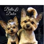 Profile Picture of Robin Lynn Raleigh (@robin.l.raleigh) on Instagram