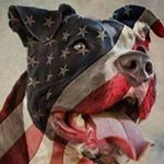 Profile Picture of Christopher Rathmann (@cfunky1st) on Instagram