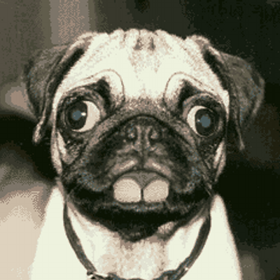 Profile Picture of GabrielRobles (@GabrielRobles13) on Twitter