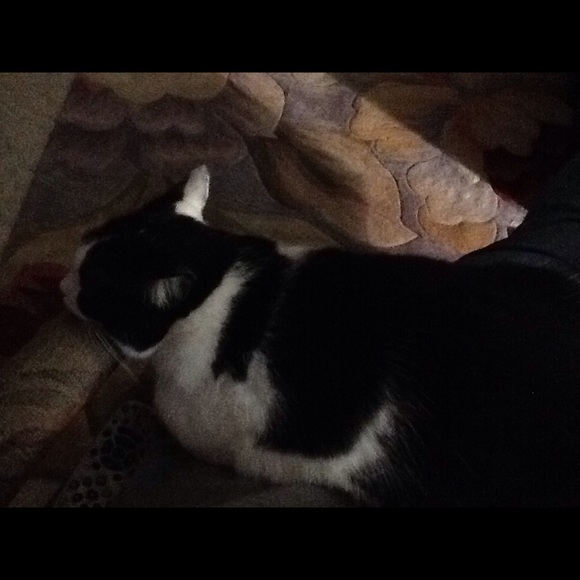 Linda Zilkowski - Poshmark Profile Picture of Linda Zilkowski (@linzee919) on Poshmark