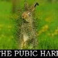 Profile Picture of Greg Cardenalli (@greg-cardenalli) on Quora