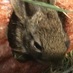 Profile Picture of Camron Becker (@camronbecker) on Instagram