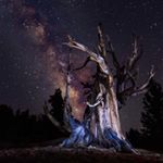 Profile Picture of David Zapien (@dzapienphotoss) on Instagram