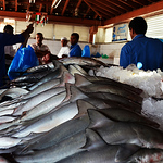 Profile Picture of Ben Brian Aviso (@benbrianaviso) on Flickr