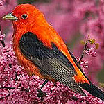 Profile Picture of Eva Rodriguez (@evarodri75) on Flickr