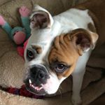Profile Picture of Nola Moore (@nolammoore) on Instagram