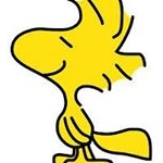 Profile Picture of adrian caudillo (@adriancaudillo200870) on Instagram