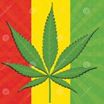 Profile Picture of Daniel Bruno (@bruno.daniele12) on Instagram