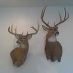 Profile Picture of Christopher Rolf (@christopher.rolf.3) on Instagram