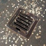 Thomas Trexler - Instagram Profile Picture of Thomas Trexler (@thomasi_t) on Instagram