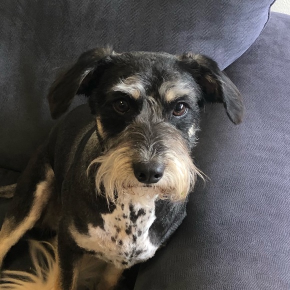 Profile Picture of Darbie Stevens (@darbalena) on Poshmark