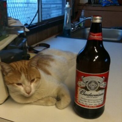 Profile Picture of Frank Huynh (@frankiebigtop) on Twitter