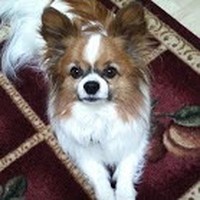 Michelle Cordaro - Quora Profile Picture of Michelle Cordaro (@michelle-cordaro-1) on Quora