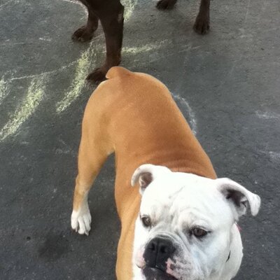 Profile Picture of Collin Hess (@CollinHess413) on Twitter