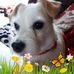 Profile Picture of Karen Janssen (@karen.janssen.5454) on Facebook