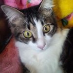 sharon - Instagram Profile Picture of sharon (@frontia221) on Instagram