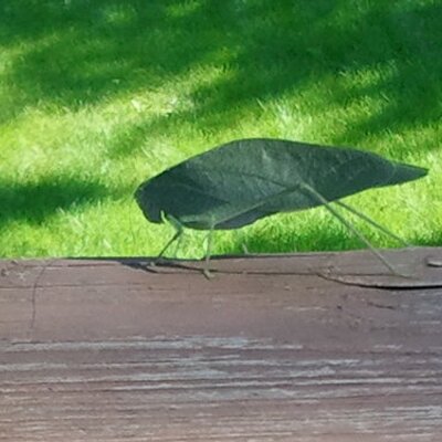 Profile Picture of David Parise (@Parise33) on Twitter