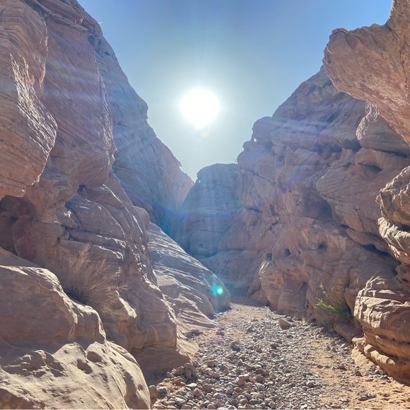 Profile Picture of Joe Riccadonna (@jriccadonna) on Poshmark