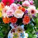 Profile Picture of Amber Syeda (@amber.bukhari.583) on Facebook