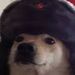 Profile Picture of David Mauricio (@davidmauricio0073) on Pinterest