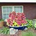 Profile Picture of Walter Lenko (@gator2629) on Pinterest