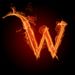 Profile Picture of Willy Thomas Kebab (@Willykebab) on Pinterest