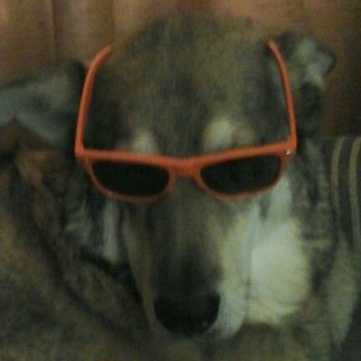 Profile Picture of Bradley Cadwell (@BradleyCadwell) on Twitter