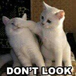 Profile Picture of Debbie (@debbiebaerchen) on Instagram