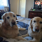 Profile Picture of Shannon Hansen (@milehighmomma) on Youtube