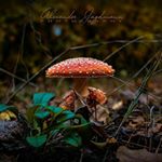 Profile Picture of Alexander Jagdmann PHOTOGRAPHY (@alexander_jagdmann) on Instagram