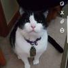 Profile Picture of Ian Gifford (@@userxizphbg57f) on Tiktok