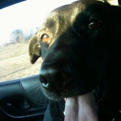 Profile Picture of Ewing Keith (@EwingKeith) on Twitter