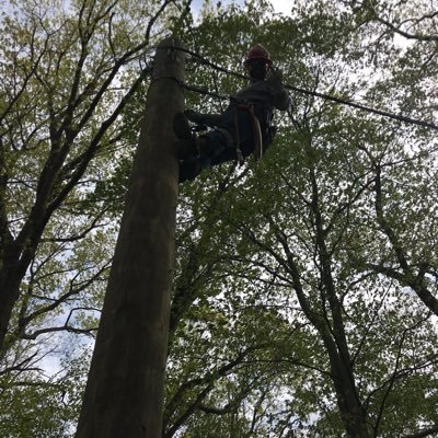 Profile Picture of Joe Cormier Jr (@cormier_jr) on Twitter