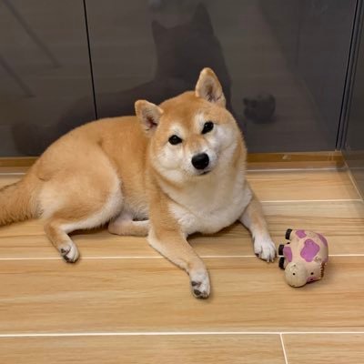 Profile Picture of Eddie Chow (@EddieCh68071864) on Twitter