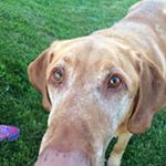 Profile Picture of Kelly Bugden (@kelly.bugden.9) on Instagram