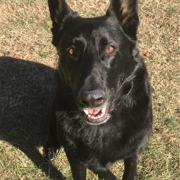 Profile Picture of Shannon Everett (@severett09) on Poshmark