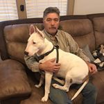 Profile Picture of David Kietzman (@davidk970) on Instagram