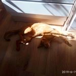 Profile Picture of cody connors_cronin (@cody__connors_cronin__09) on Instagram