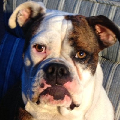 John Carbone - Twitter Profile Picture of John Carbone (@carb70) on Twitter