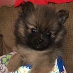 Profile Picture of Derrick Walsh (@derrickewalsh) on Instagram