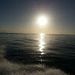 Profile Picture of Andrew Viverette (@andrewv822) on Pinterest